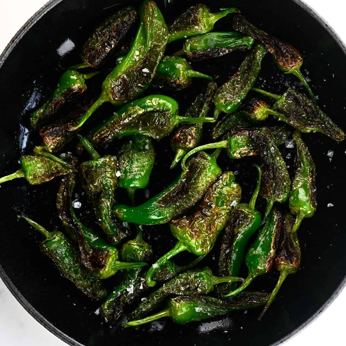 fried padron peppers - Article 1